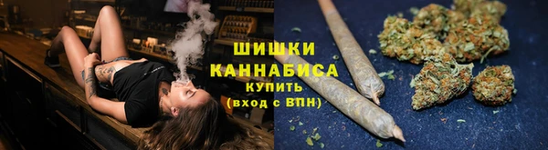 PSILOCYBIN Аркадак