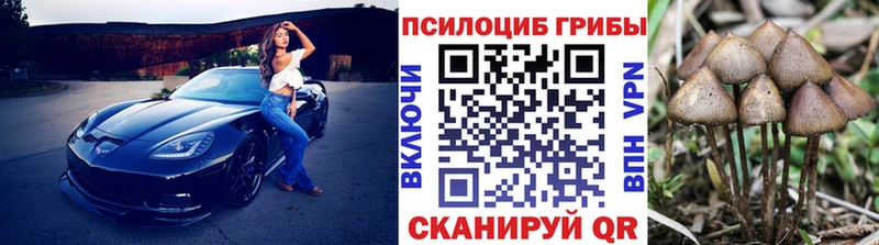 Псилоцибиновые грибы прущие грибы  как найти   Енисейск 